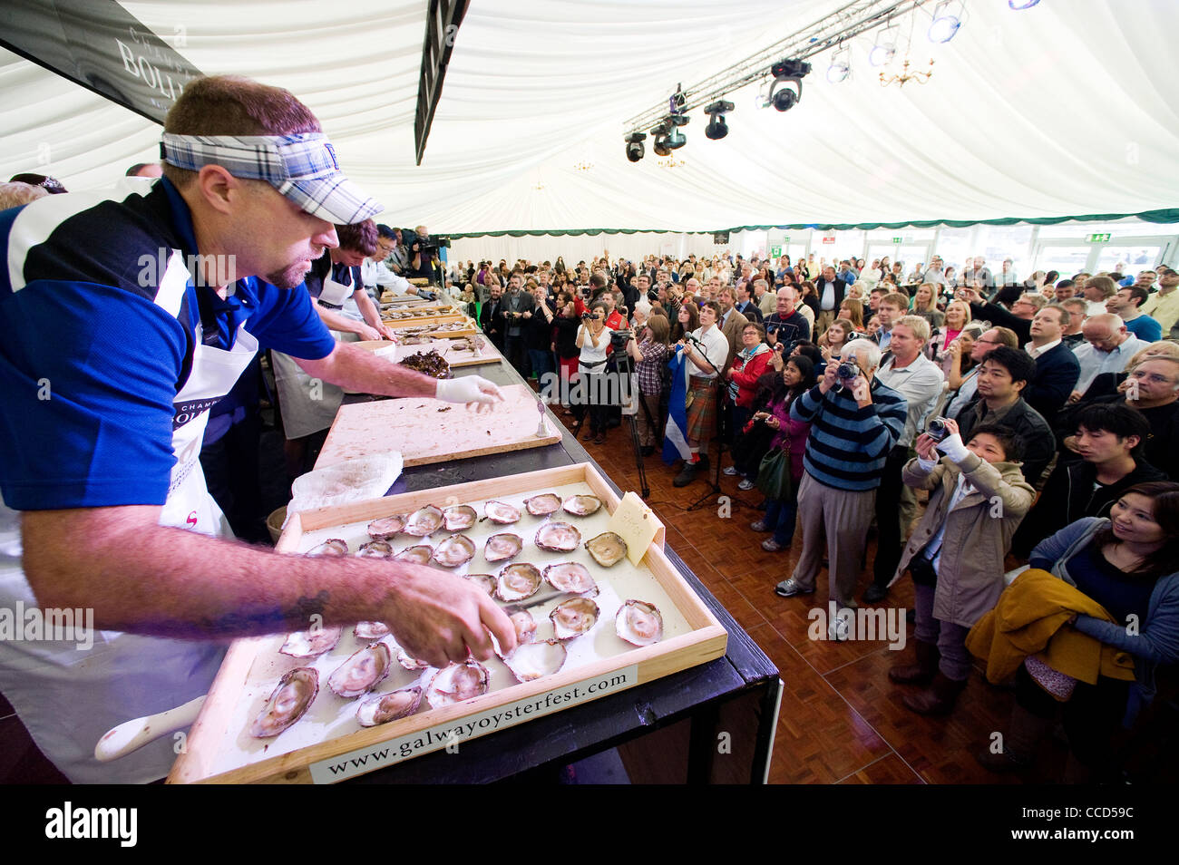Galway oyster festival 2011, Ireland Stock Photo