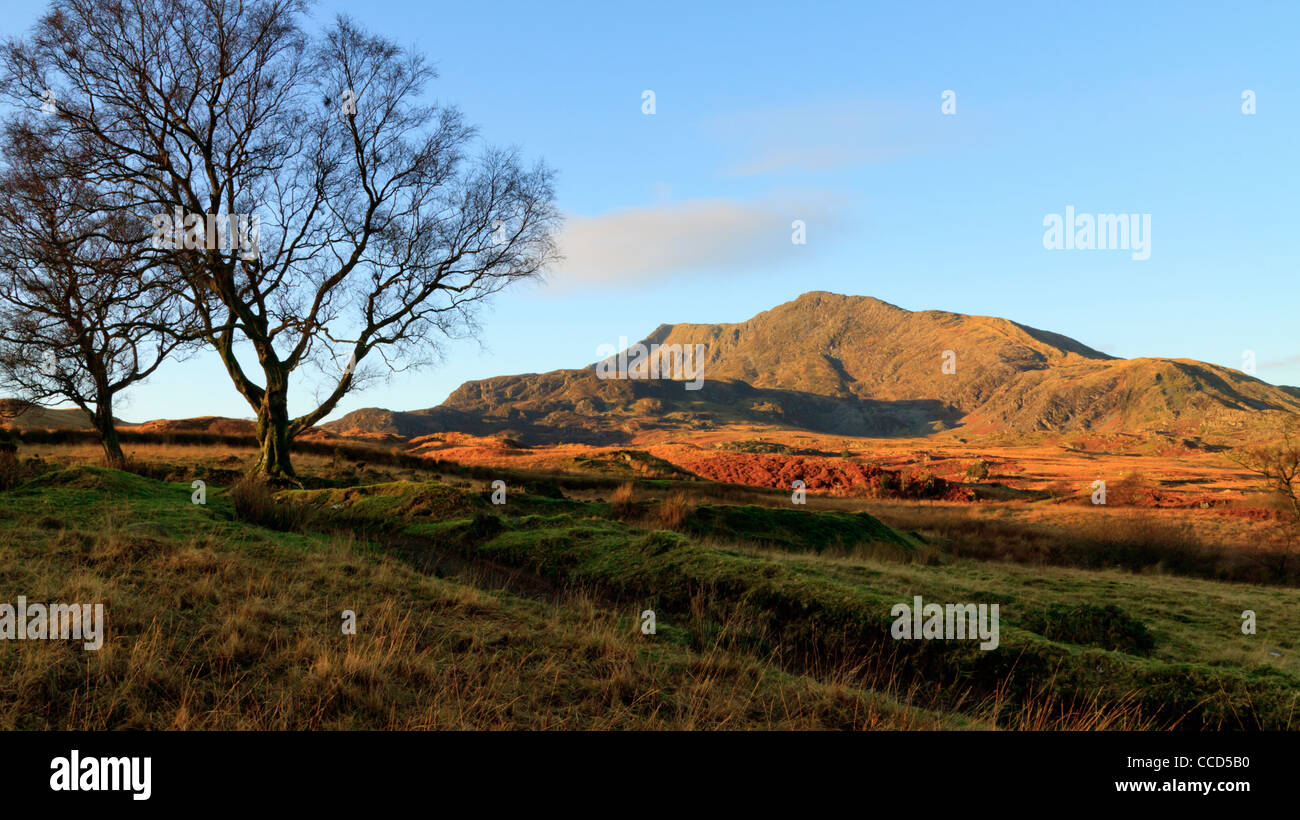 A view of Moel Siabod from above Capel Curig Stock Photo