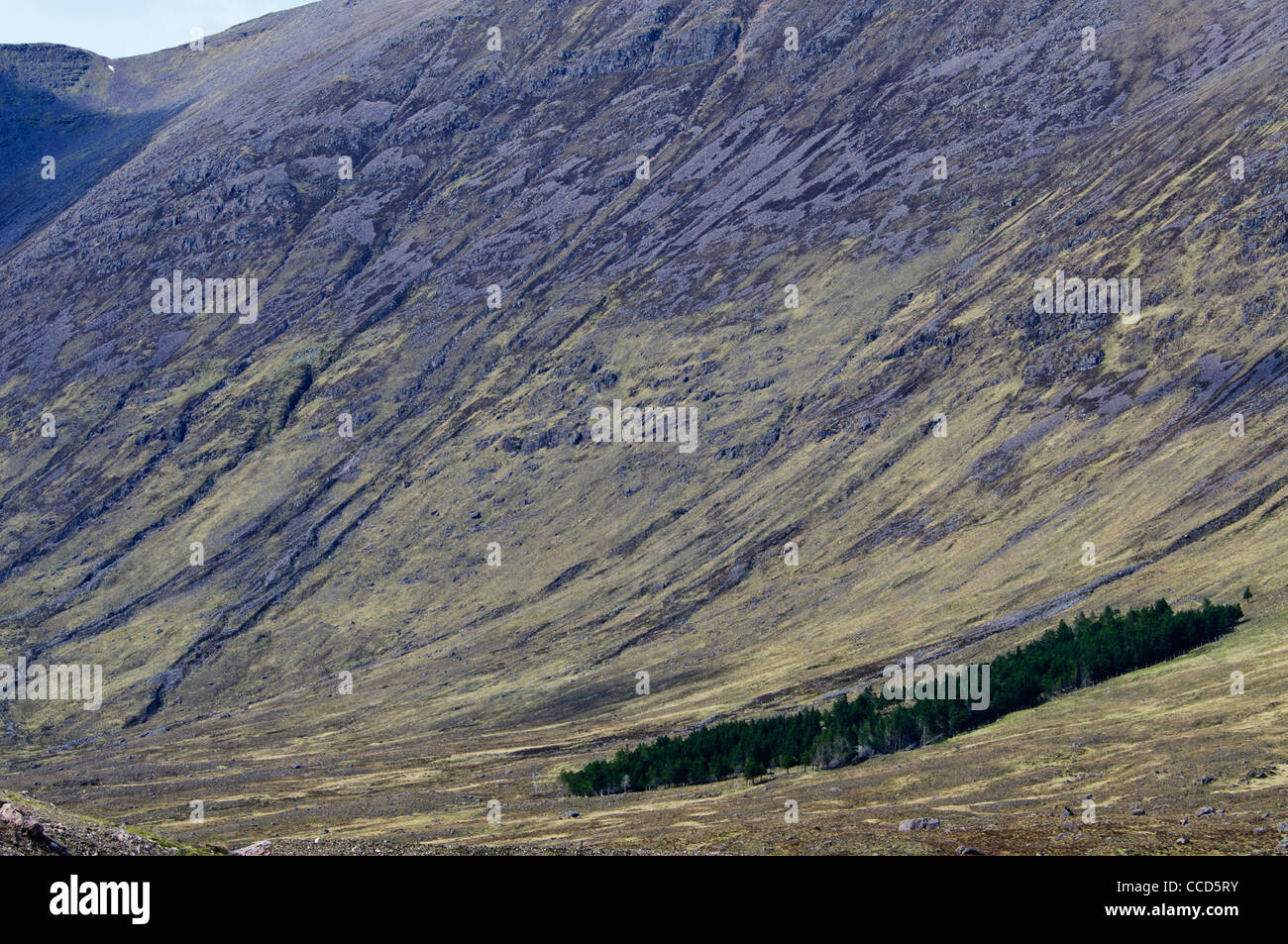 Is the third highest road in scotland pass of the cattle hires stock