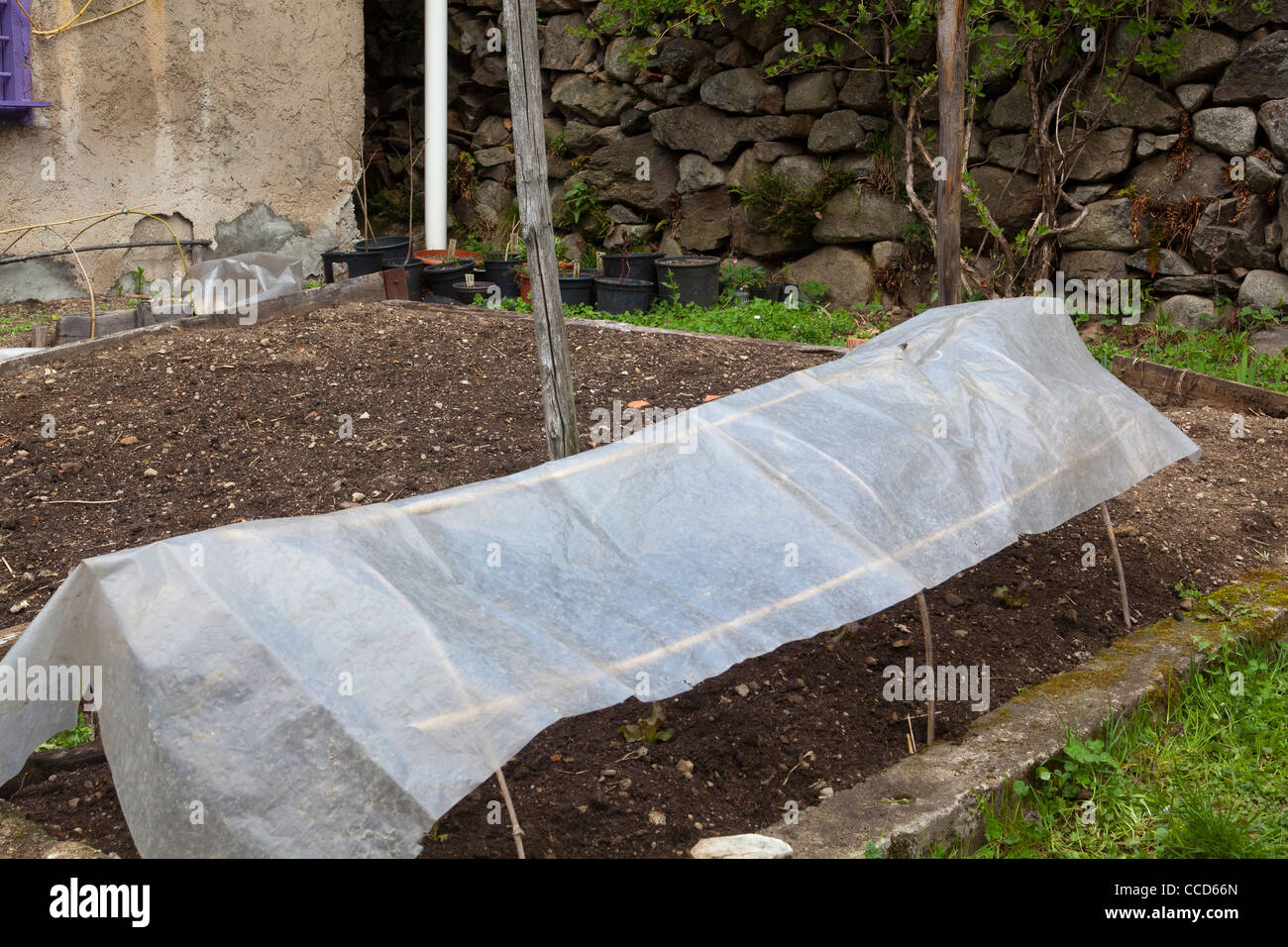 Plastic sheet garden hires stock photography and images Alamy