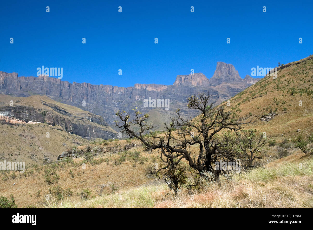 scenic landscape of drakensberg mountains, south africa Stock Photo - Alamy