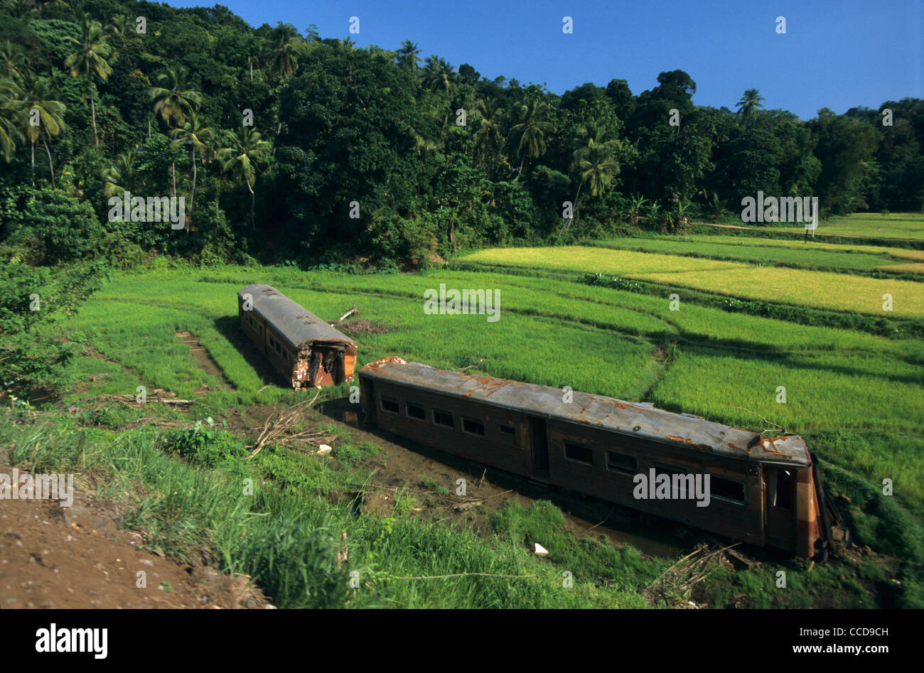 Rest of crash Train Intercity Express near Rambukkana Sri Rest of crash Train Intercity Express near Rambukkana Sri