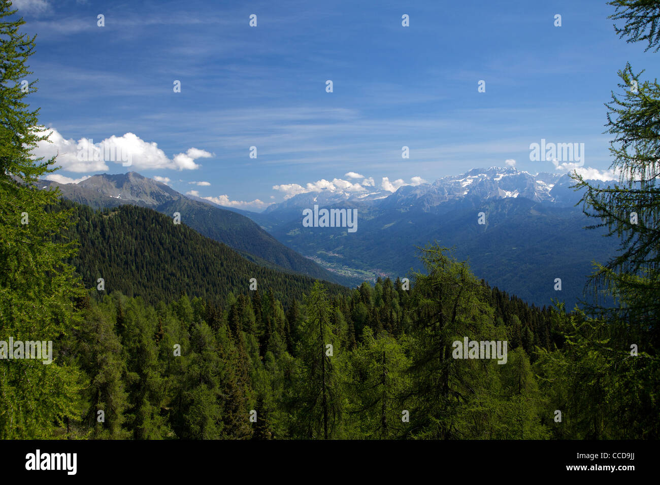 panoramica dal monte Cengledino con vista sul Gruppo montuoso di Brenta, valli Giudicarie, Val Rendena, Trentino Stock Photo