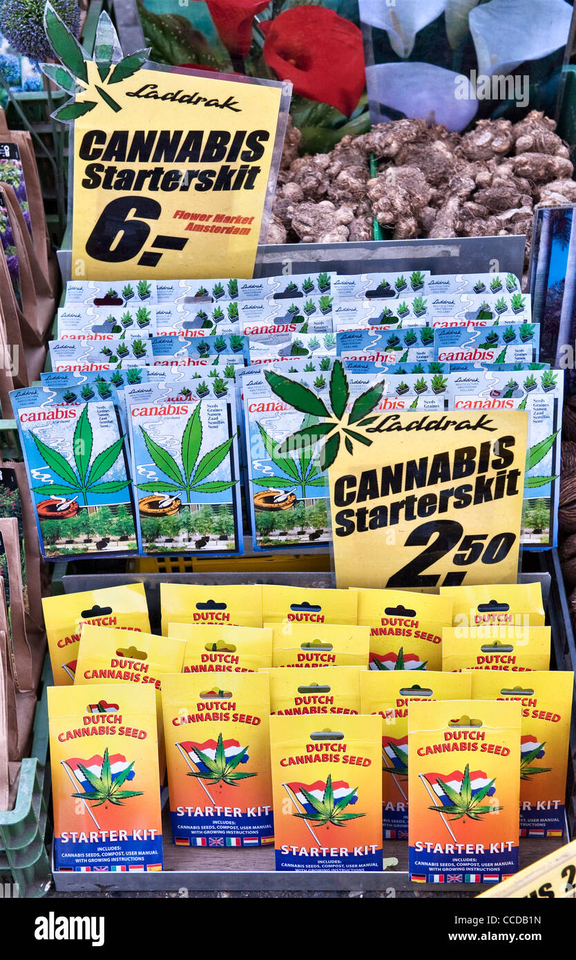 Amsterdam, the Netherlands. Kits for growing cannabis on sale in the
