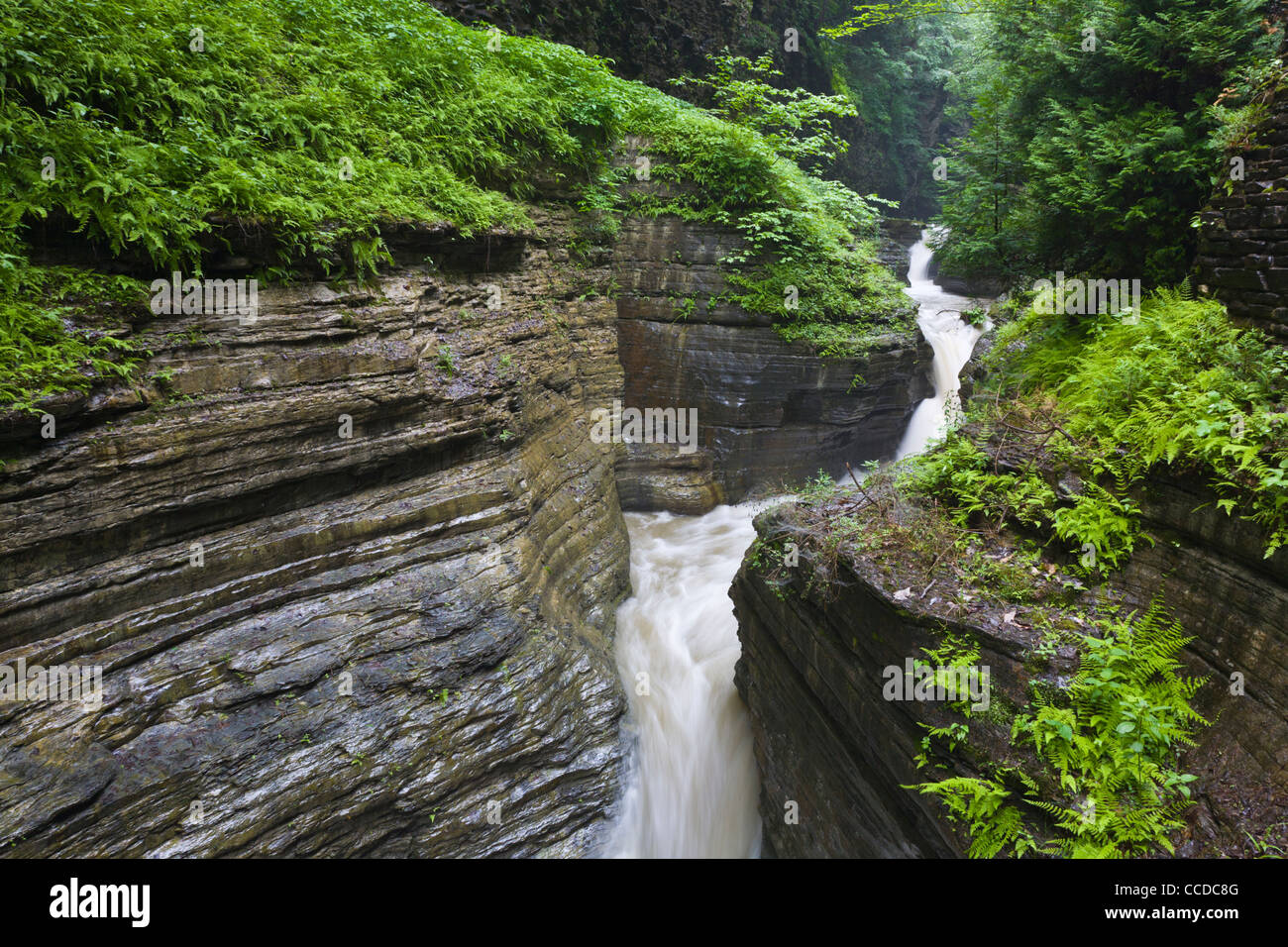 Gorge and waterfalls in Watkins Glen State Park in Watkins Glen New York Stock Photo