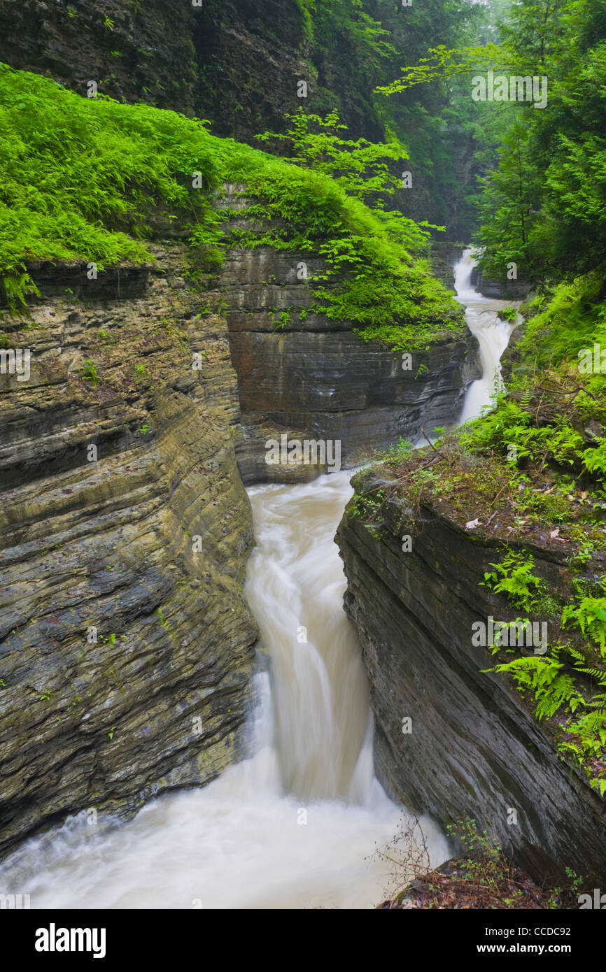Gorge and waterfalls in Watkins Glen State Park in Watkins Glen New York Stock Photo
