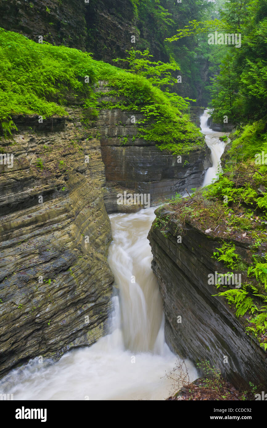 Gorge And Waterfalls In Watkins Glen State Park In Watkins Glen New gorge-and-waterfalls-in-watkins-glen-state-park-in-watkins-glen-new