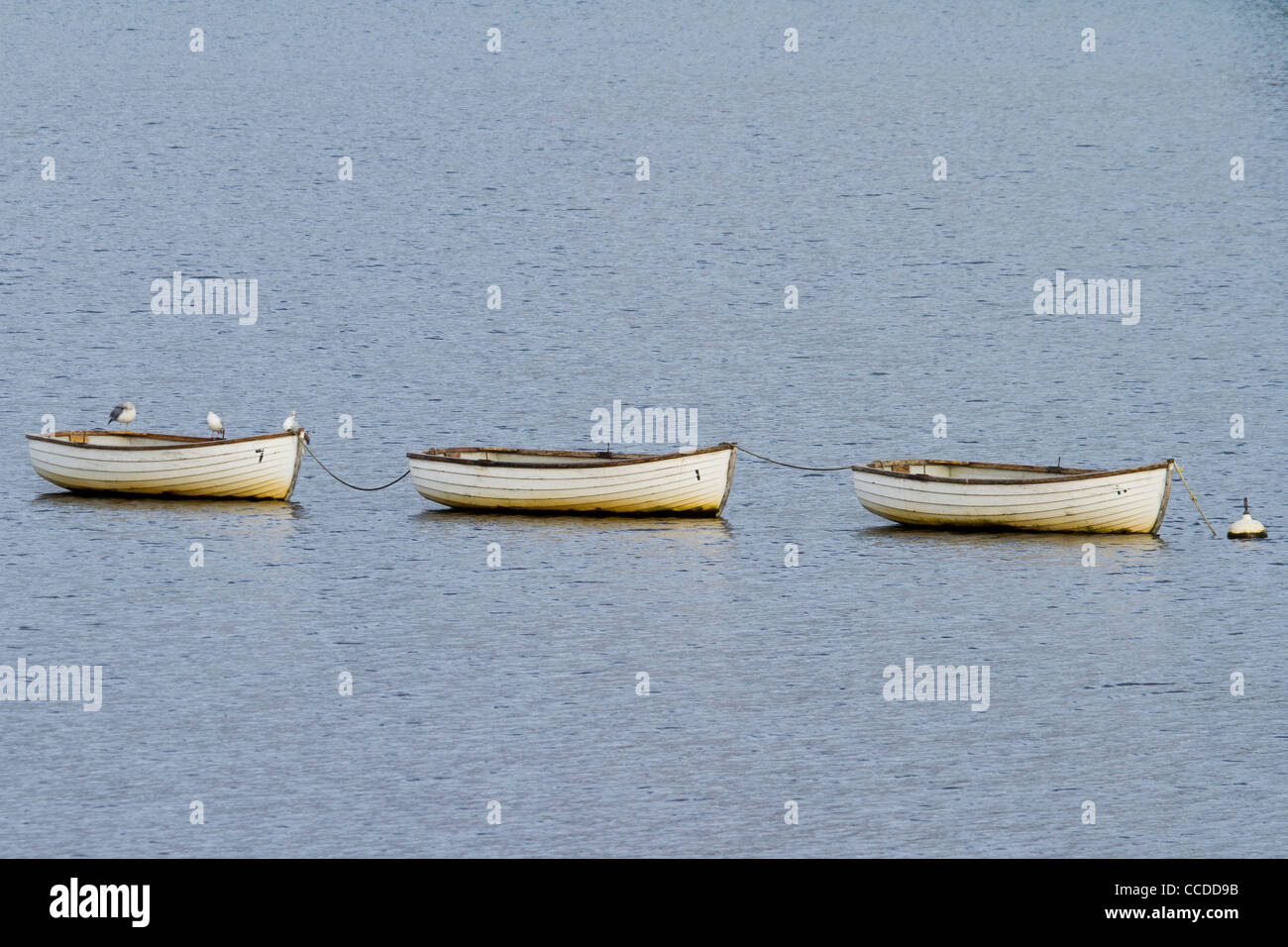 Three Boats tied up on the lake Stock Photo Alamy