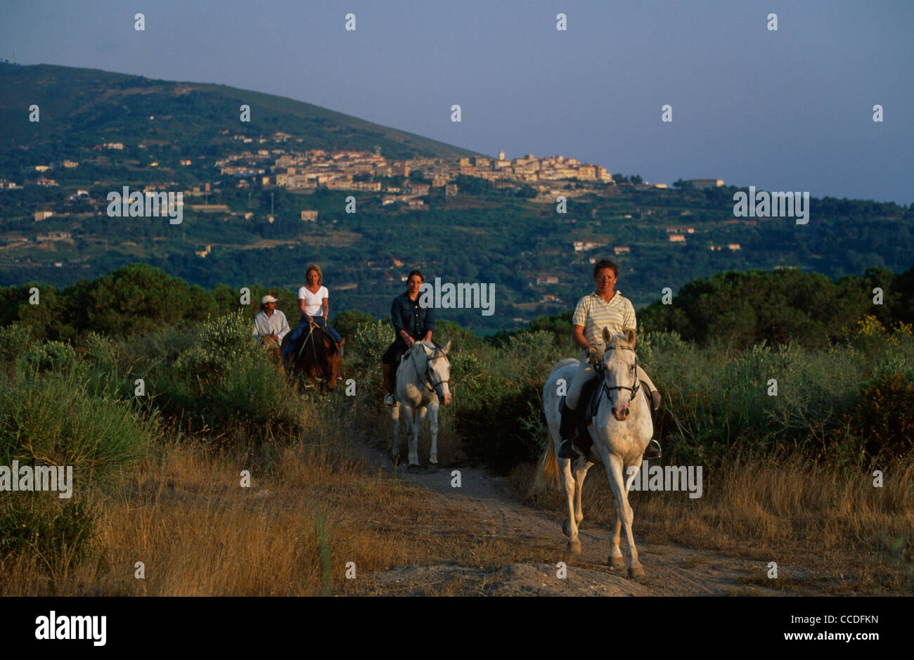 Horse Riding on Elba Stock Photo