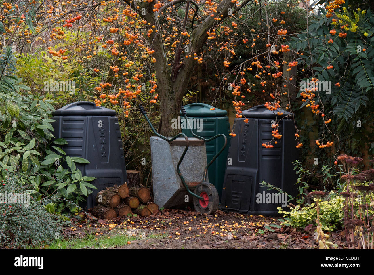 Garden compost bins under a crab apple tree with logs and a wheel