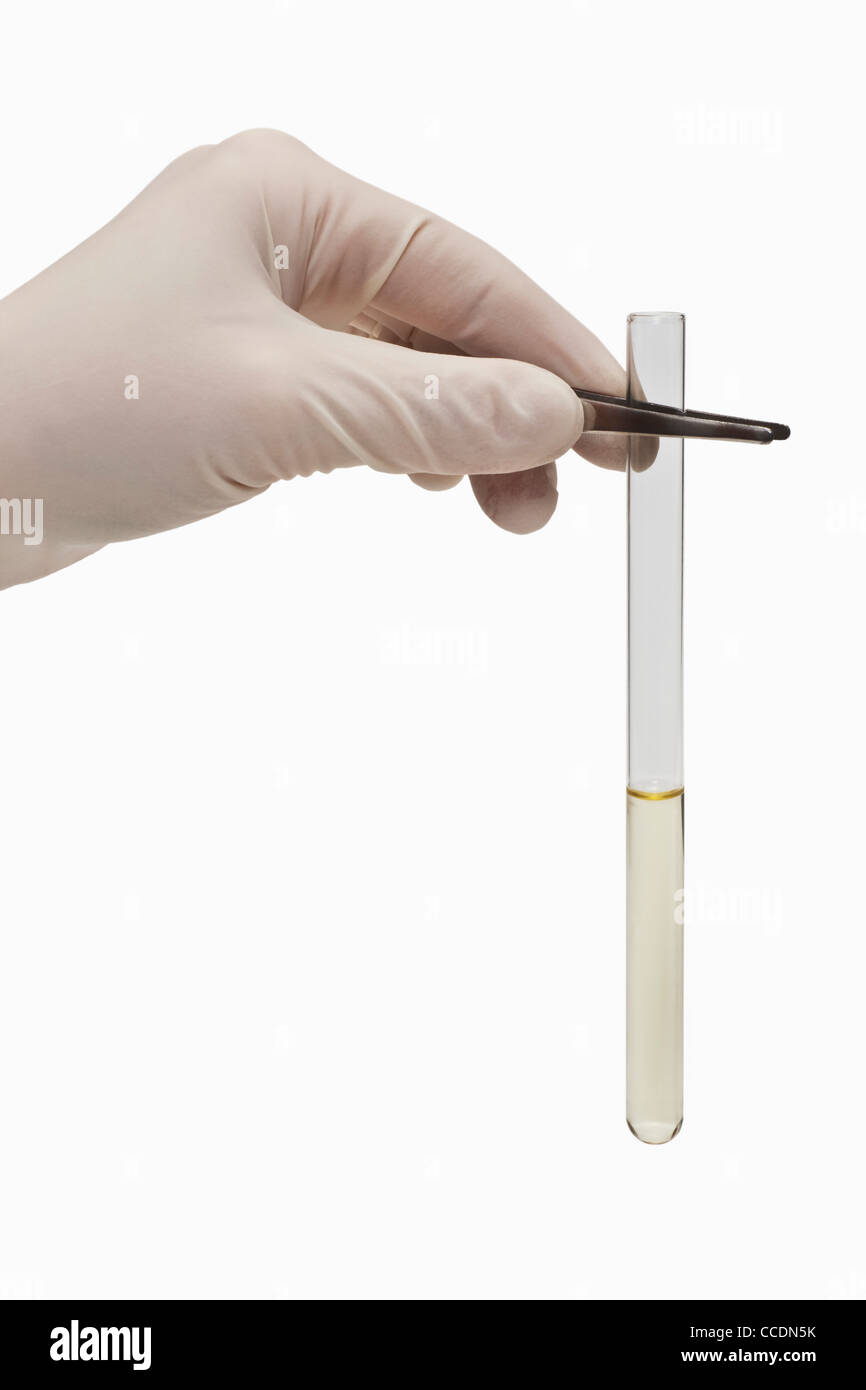 A test-tube is held with tweezers. There is a liquid in the test-tube. The hand is protected with a rubber glove. Stock Photo