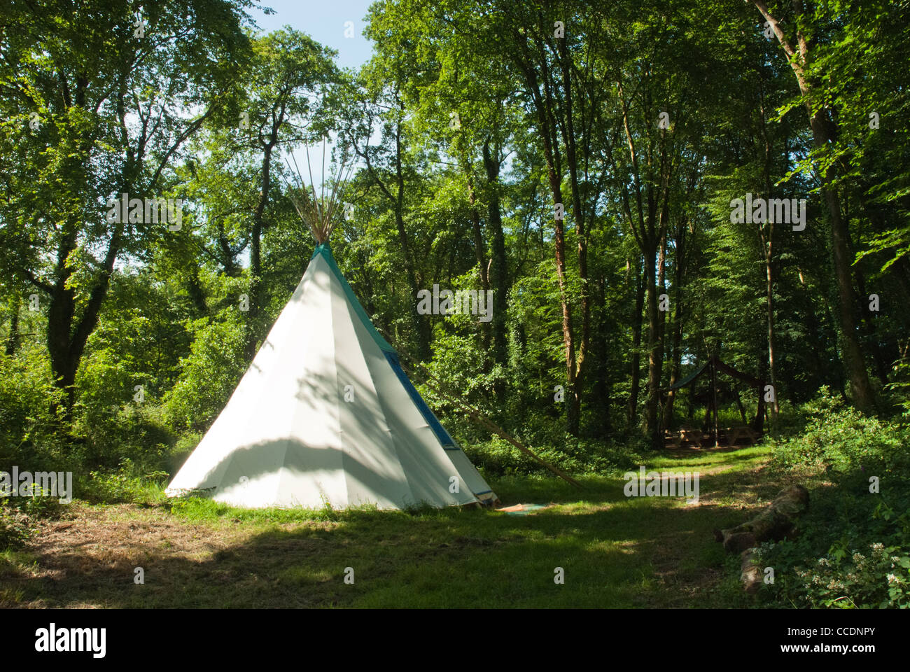 Tepee Wigwam In A Small Clearing In A Wood In Cornwall Stock Photo Alamy Tepee Wigwam In A Small Clearing In A Wood In Cornwall Stock Photo Alamy