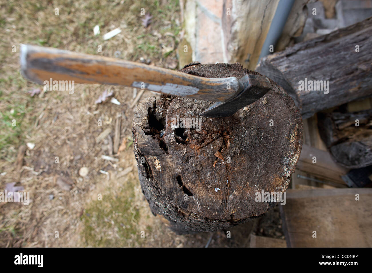 An ax is ready to chop more firewood at a home in North Carolina Stock Photo