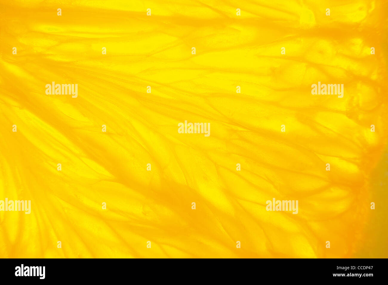 fragment of orange fruit, close-up took with backlight ideal for background Stock Photo