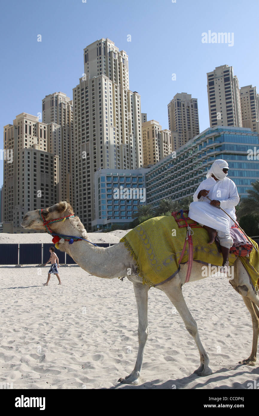 Emirati on camel on beach in the Dubai Marina. Stock Photo