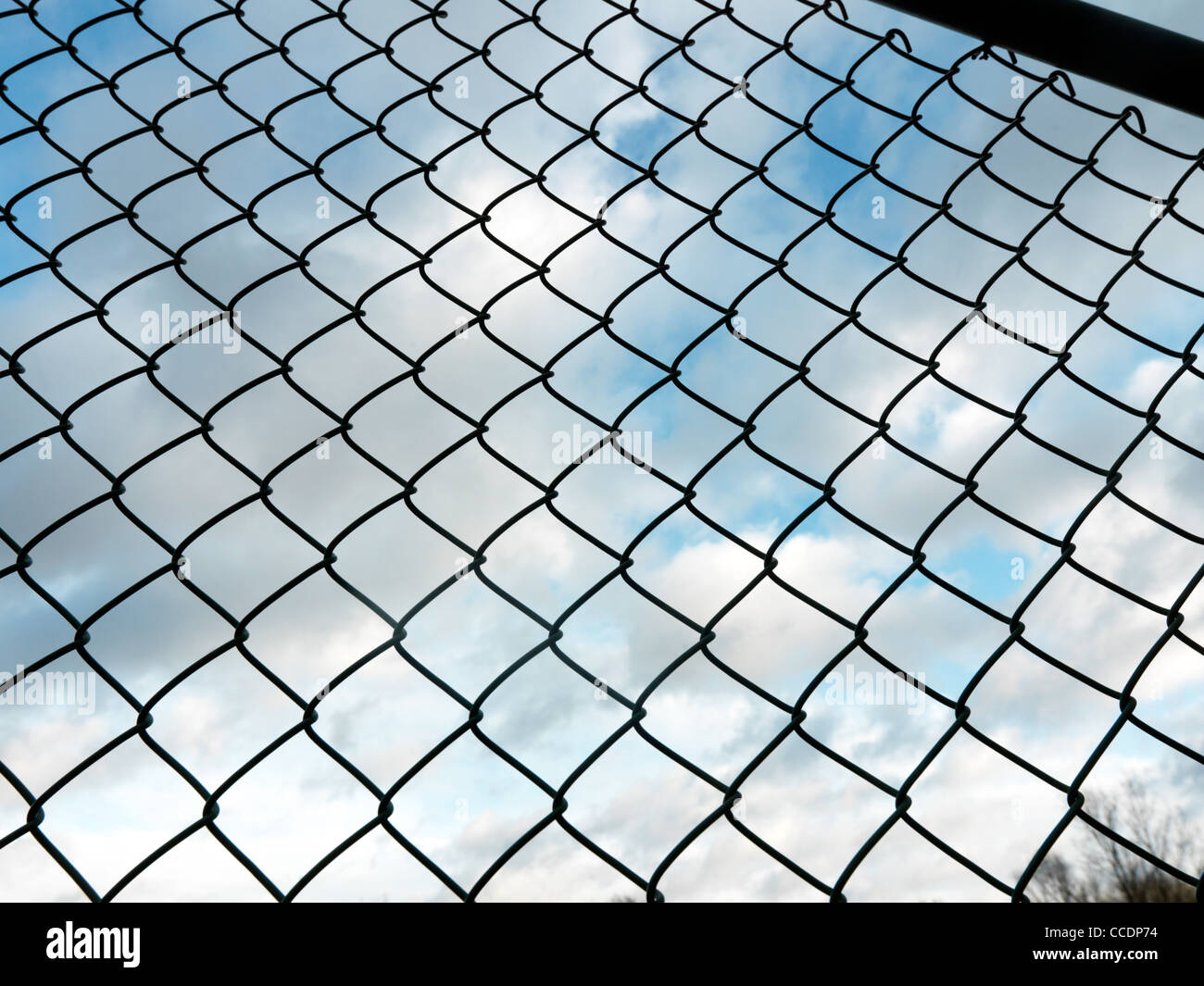 Wire Mesh Fence Stock Photo