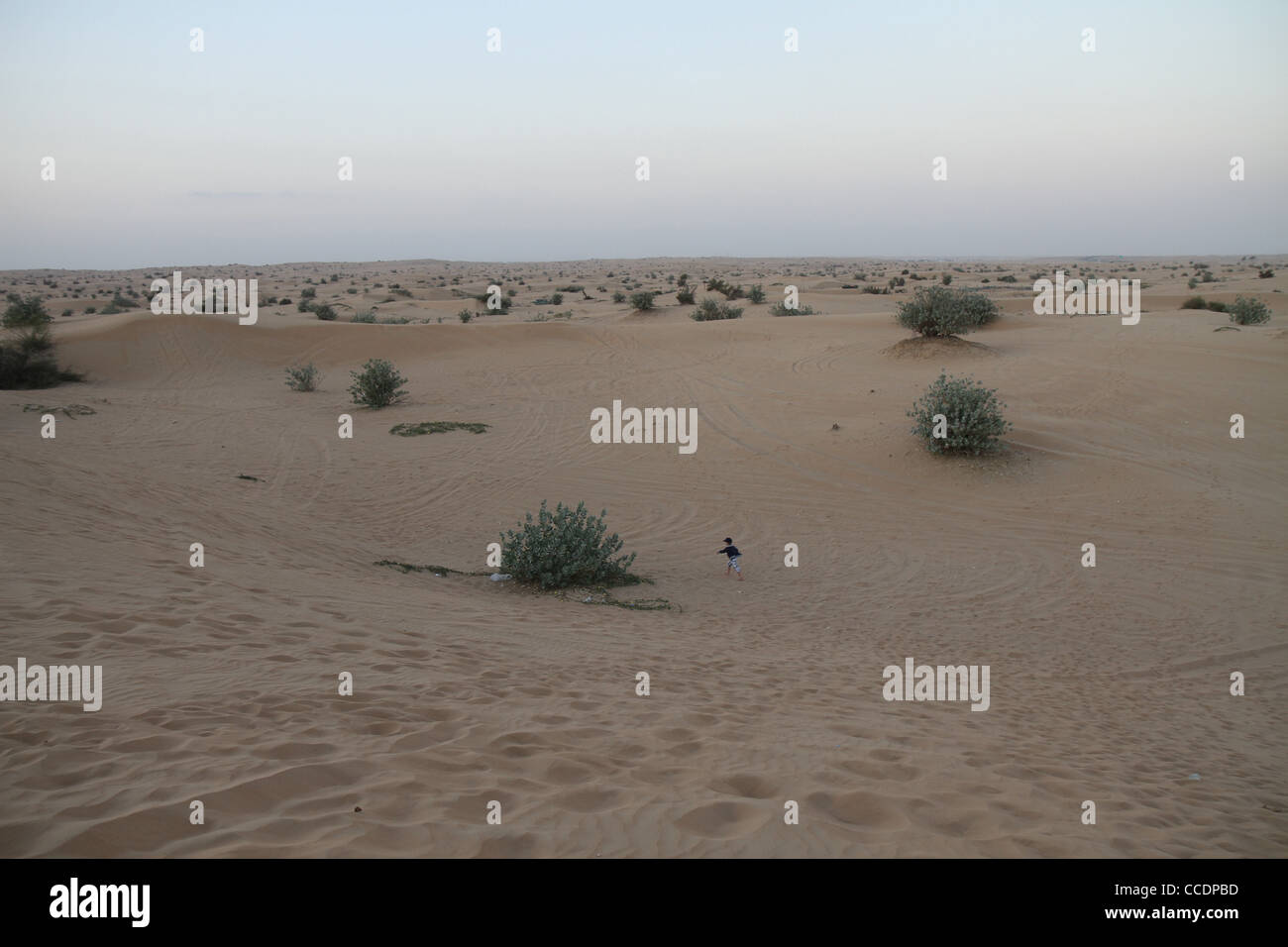 Sand dunes in the Dubai Desert Stock Photo - Alamy