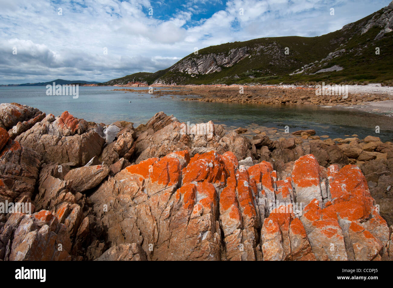 Landscape. Rocky Cape National Park, Tasmania, Australia Stock Photo