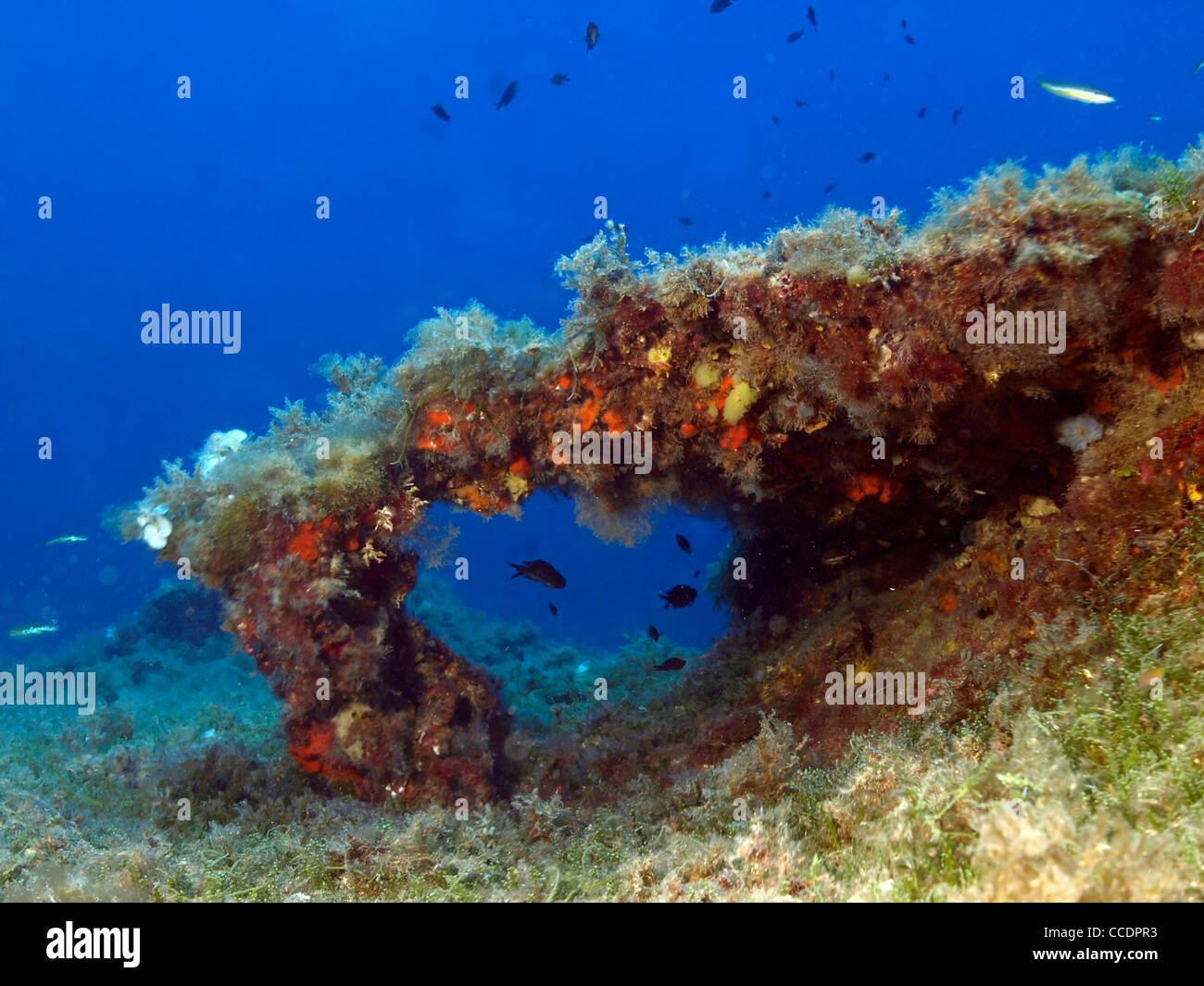 marine landscape of the mediterranean Stock Photo