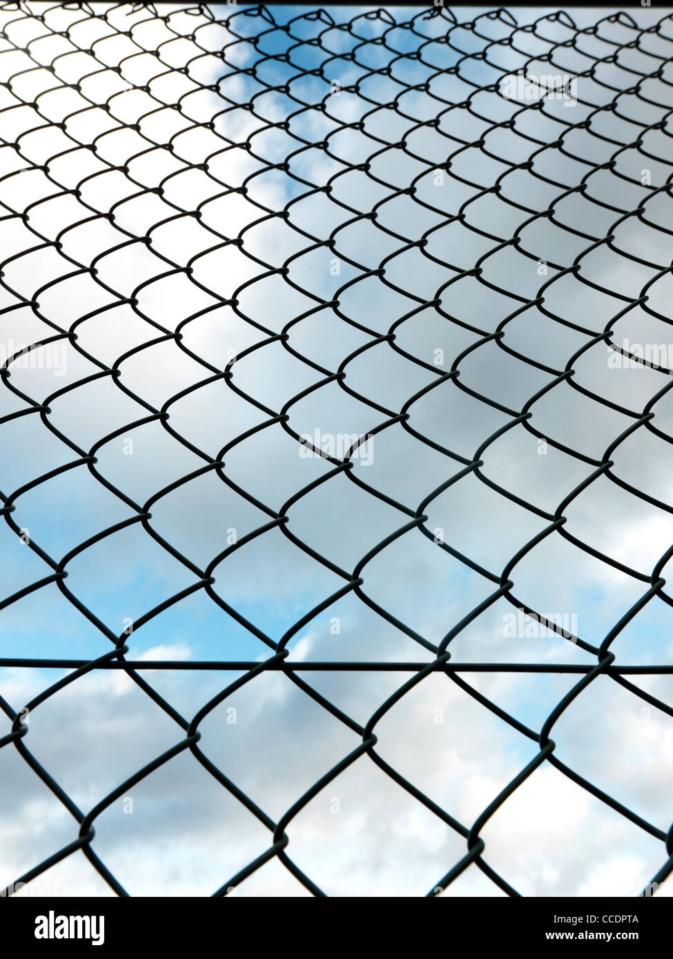 Wire Mesh Fence Stock Photo