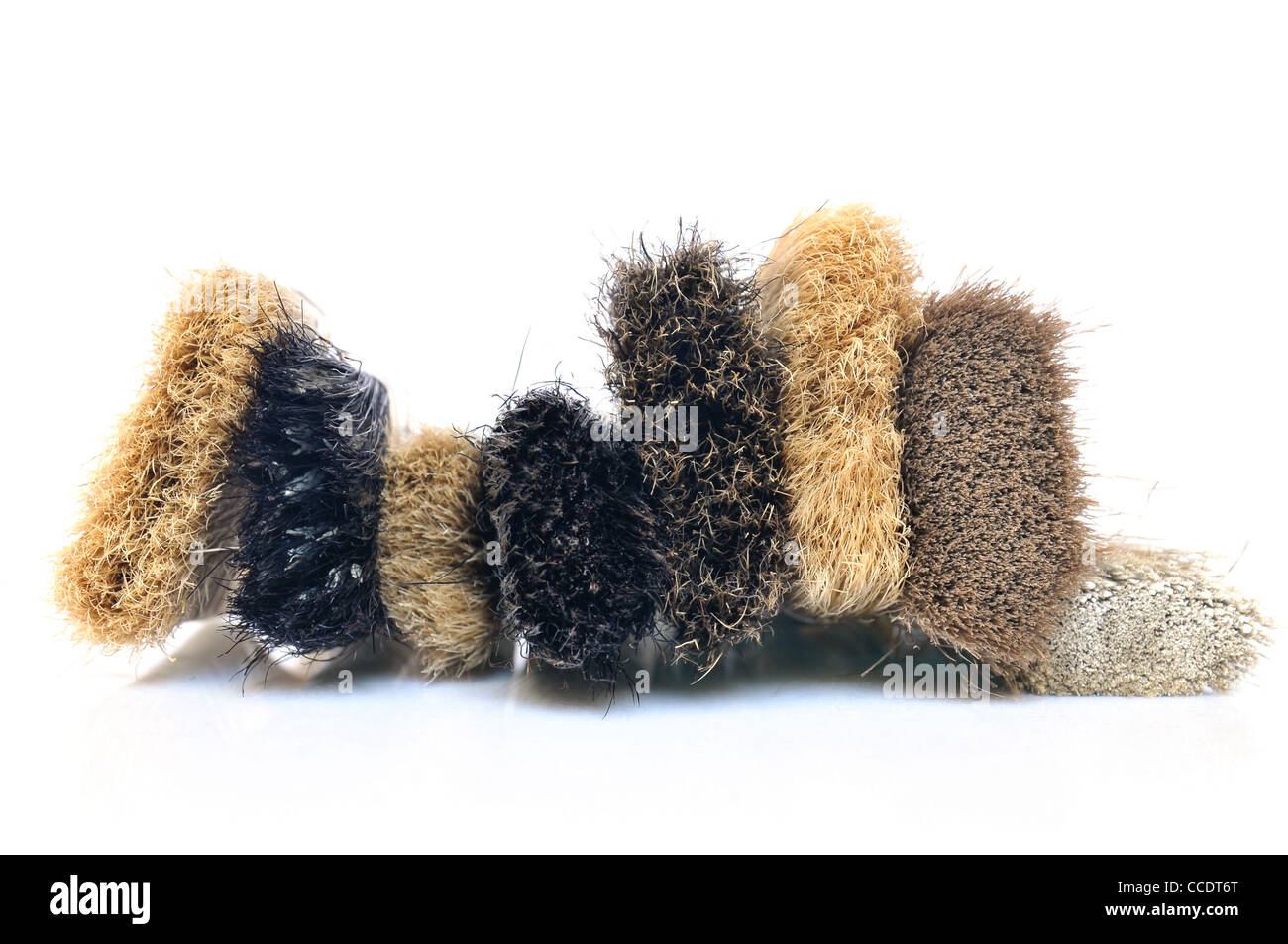 Group of paintbrushes over white background Stock Photo