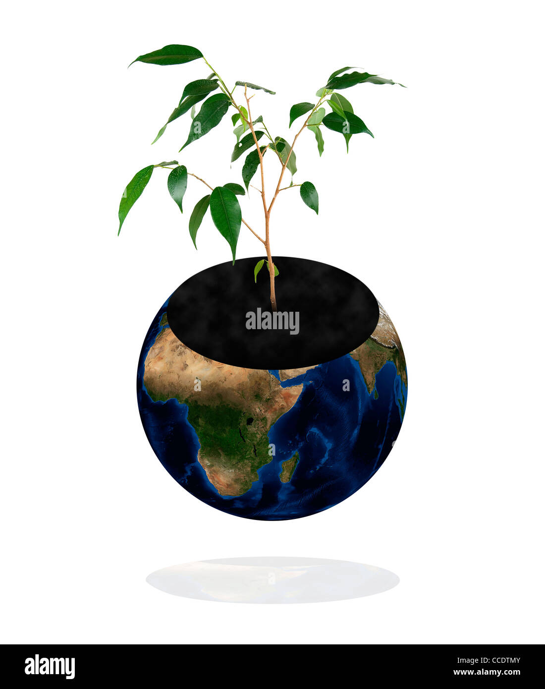 protect the environment concept. Earth with tree isolated on white ...