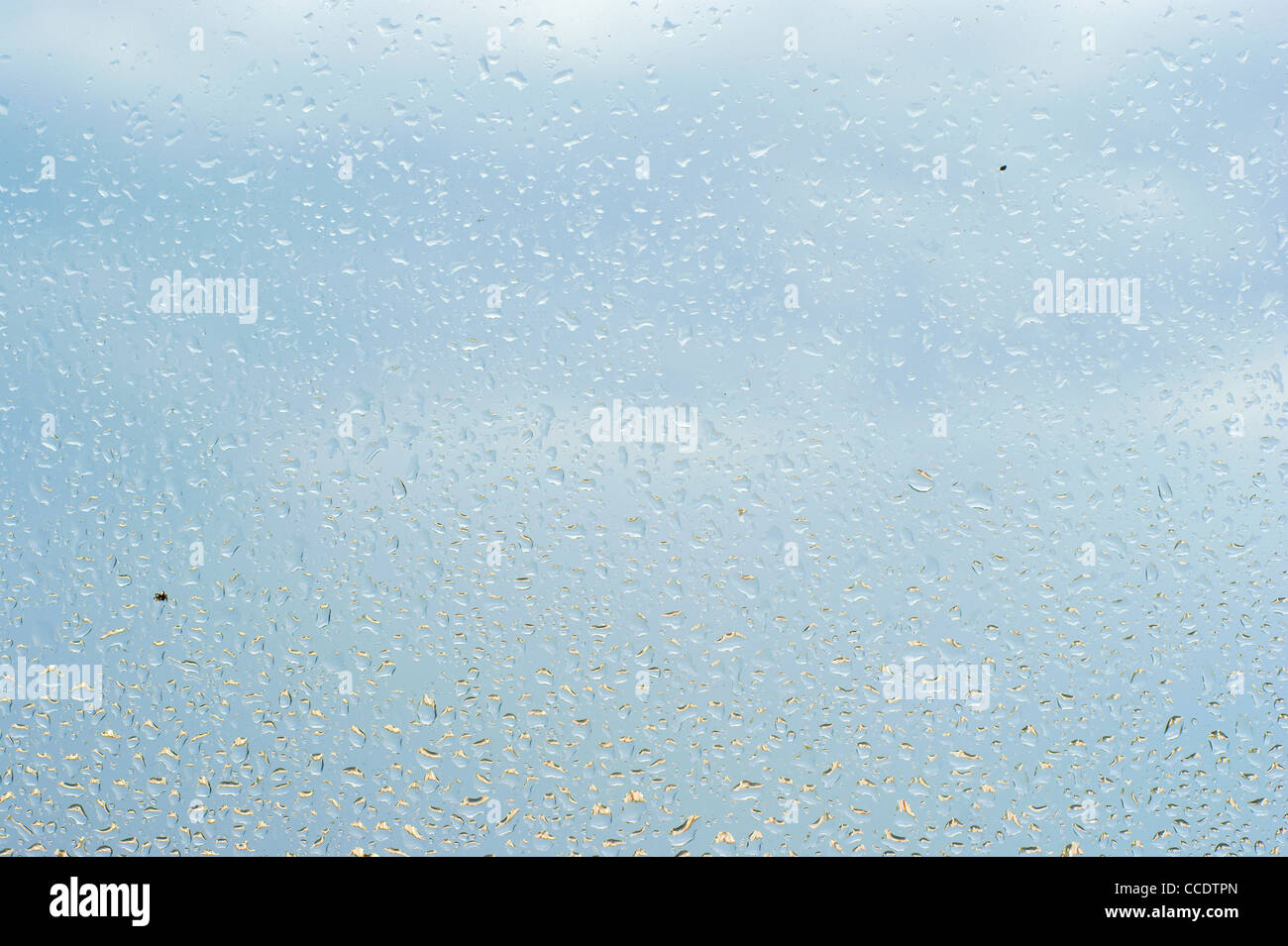 Water drops background texture Stock Photo - Alamy