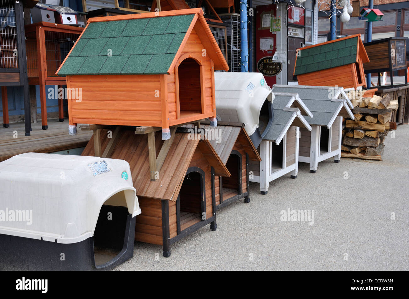 dog house in store
