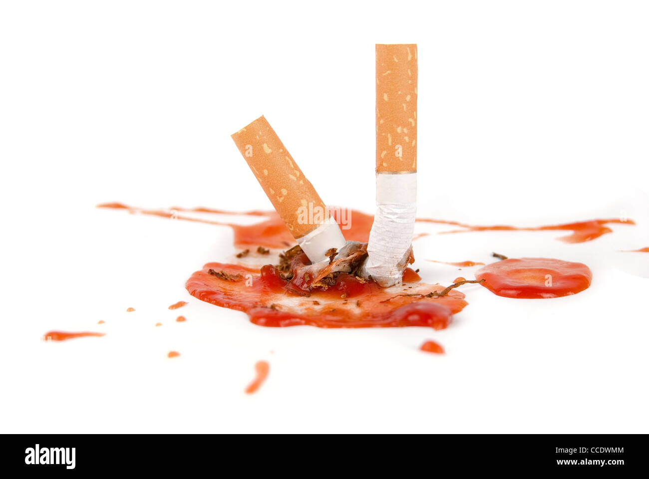 blood on cigarette smoking kills concept. cigarettes with blood isolated on white Stock Photo