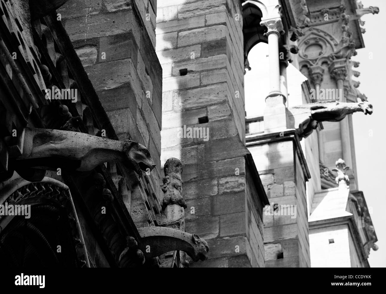 Monster of Notre Dame de Paris, Paris France Stock Photo