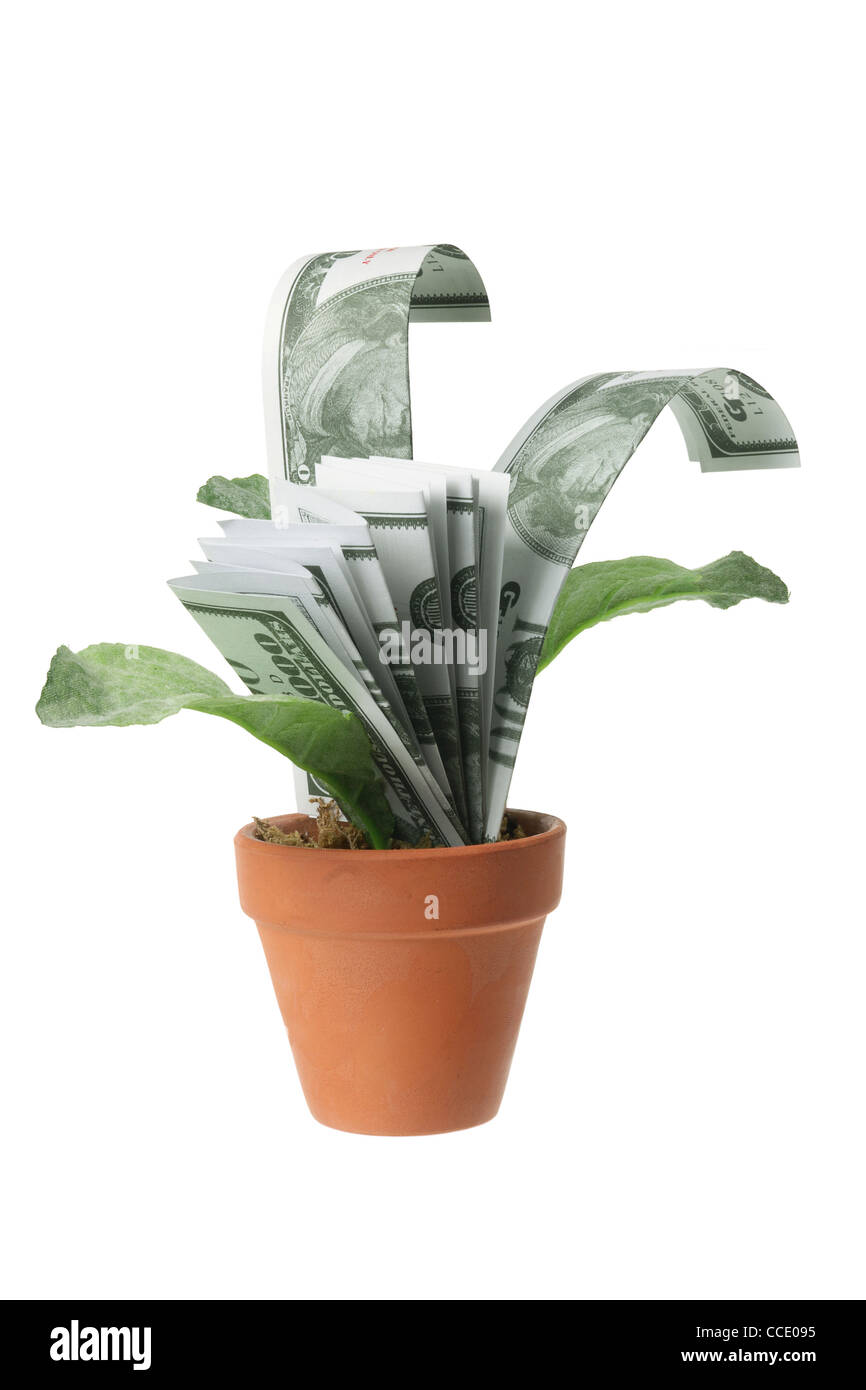 Pot Plants with Dollar Notes Stock Photo Alamy
