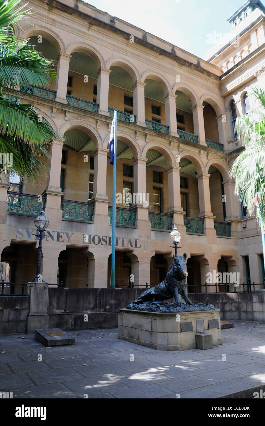 Sydney hospital hires stock photography and images Alamy