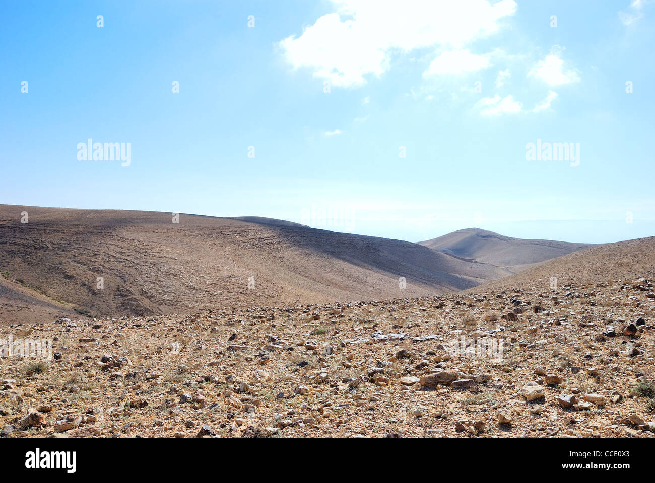 Fragment of the Judean desert near the Arad, Israel. Stock Photo