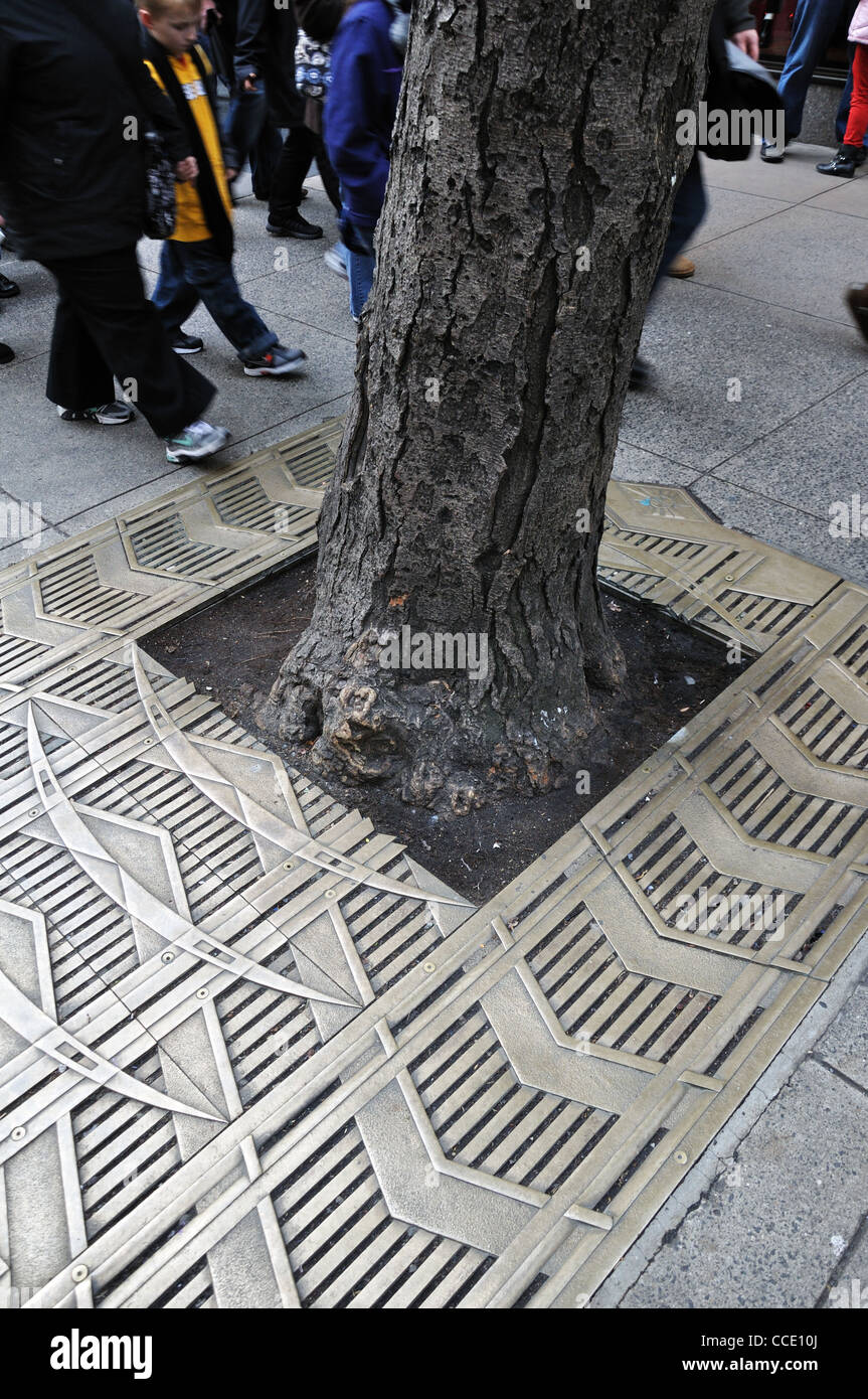 Metal decoration around tree on pavement sidewalk, New York City, USA Stock Photo
