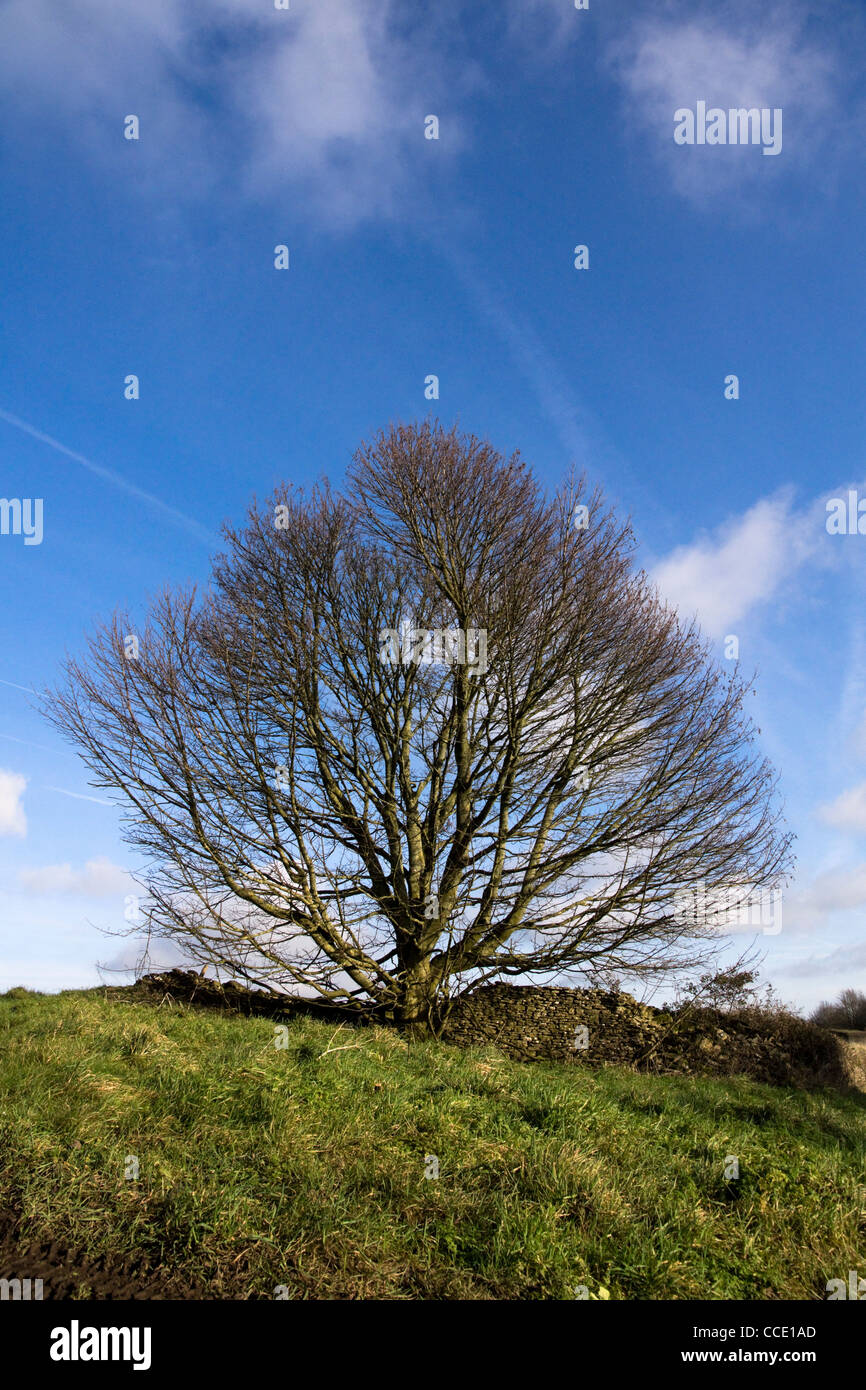 Cold Ashton South Gloucestershire England Stock Photo Alamy