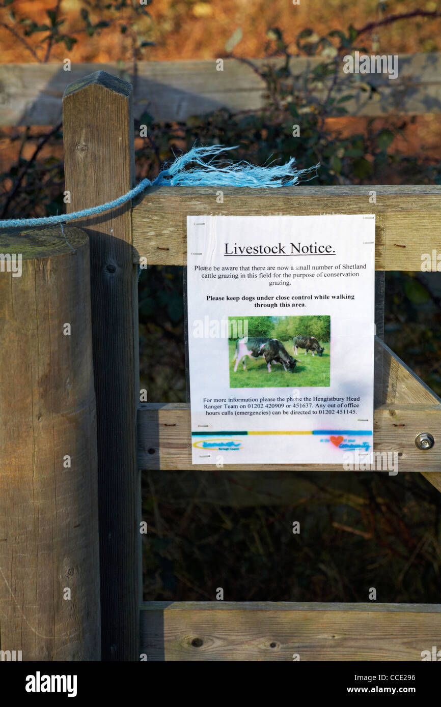 Livestock notice sign on gate please keep dogs under close control while walking through the area at Hengistbury Head, Dorset UK in January Stock Photo