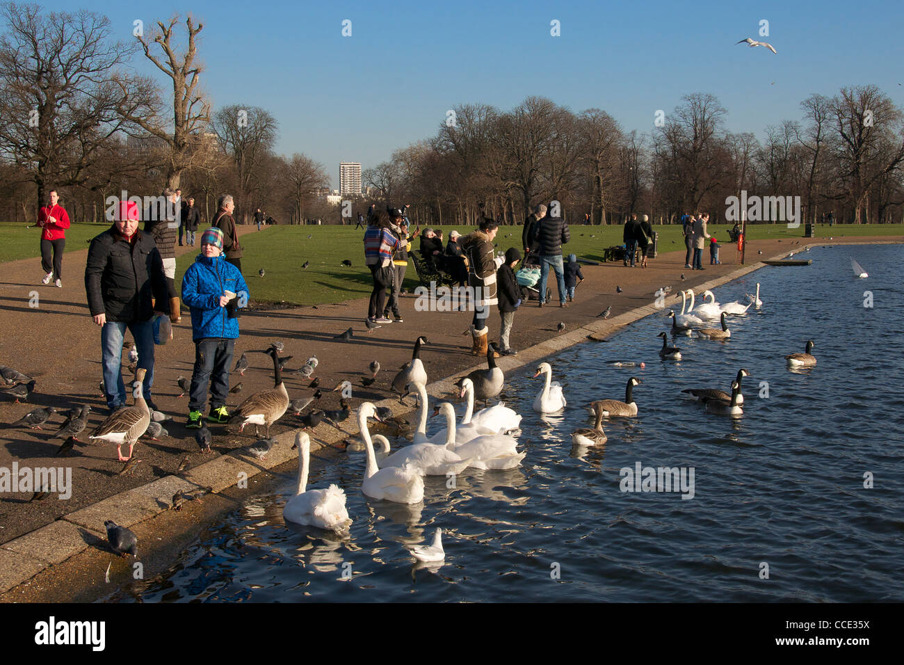 Round Pond Kensington Gardens Hyde Park London England Stock Photo