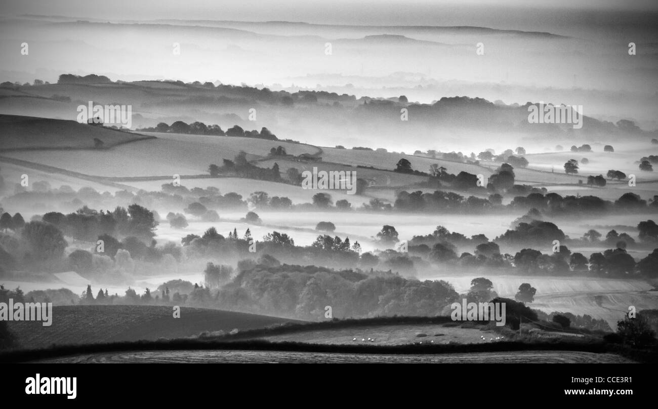 a misty sunrise Over the marshwood Vale in the Dorset Countryside.  Finished in a High contrast B+W Stock Photo