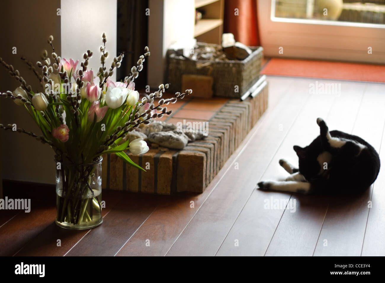 Part of interior with fireplace, cat and bouqet of springflowers - horizontal Stock Photo