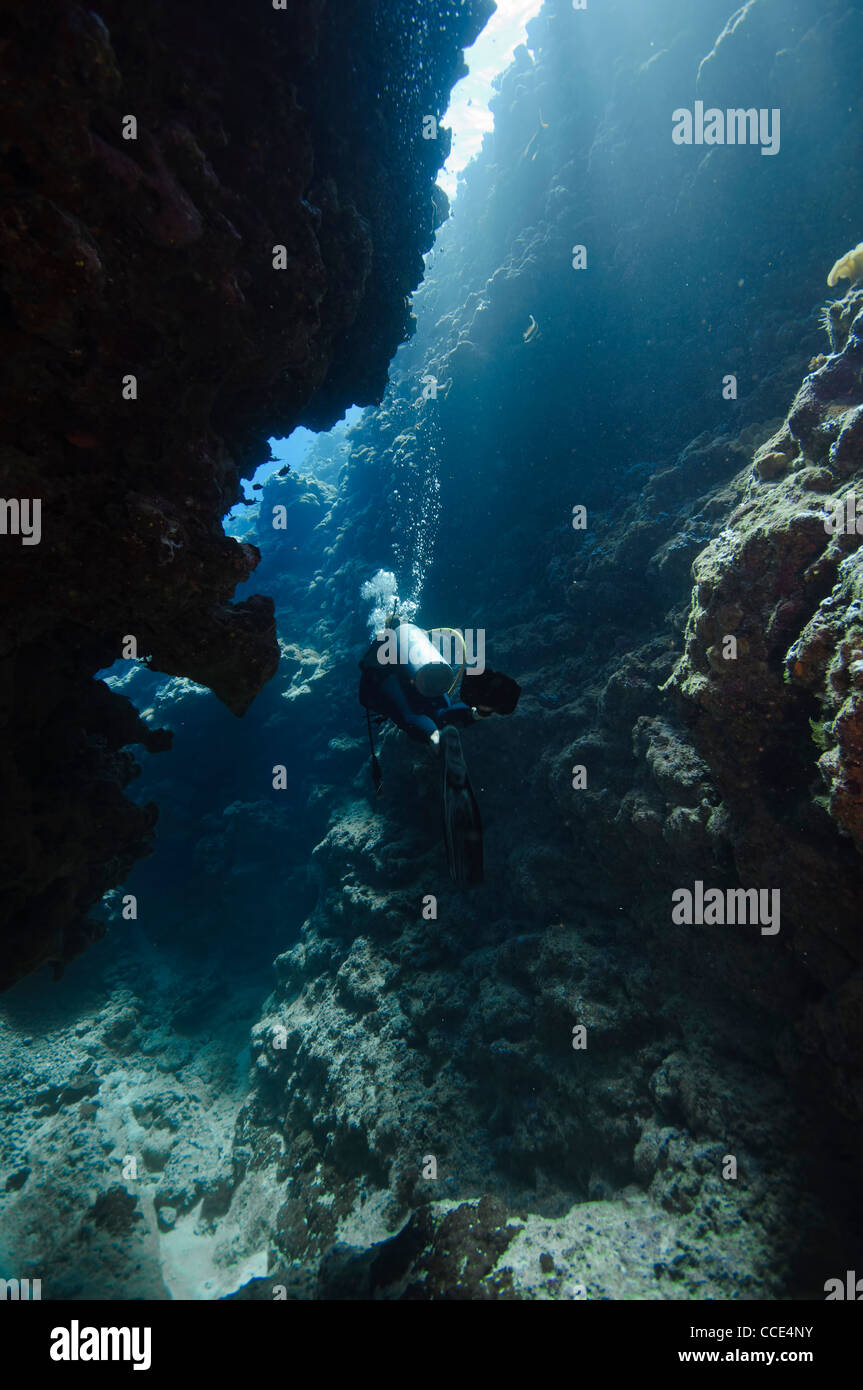 Diver exploring an underwater cave. Great barrier reef, australia Stock