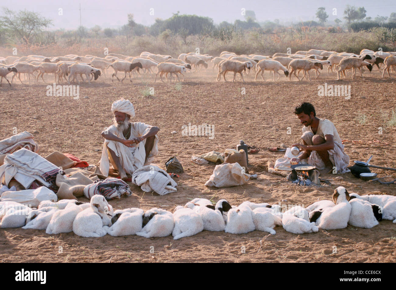 A herdsman is cooking bread  ( 'roti', the local bread) while his companion is keeping an eye on their flock ( India) Stock Photo