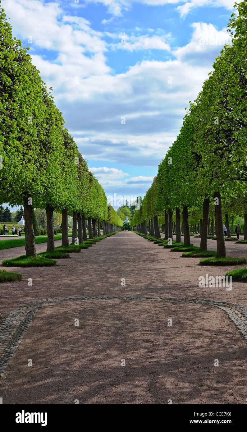 Prospect park green hi-res stock photography and images - Alamy