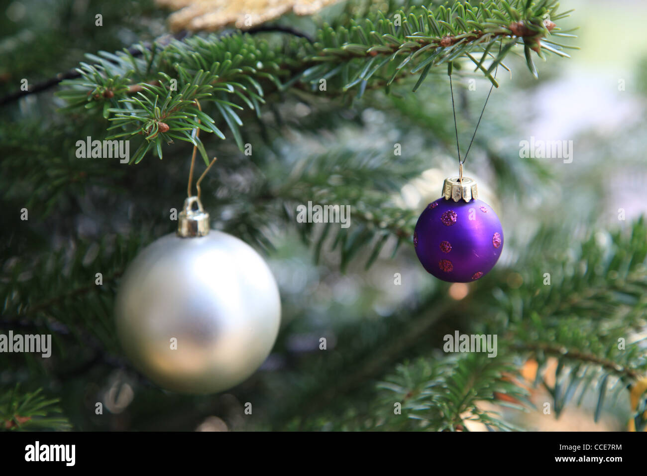 Weihnachten, Weihnachtsbaum, Tannenbaum, Weihnachtsstern, gold, weiss, silber, perlmutt, lila, Tanne, detail, filigran, Makro Stock Photo