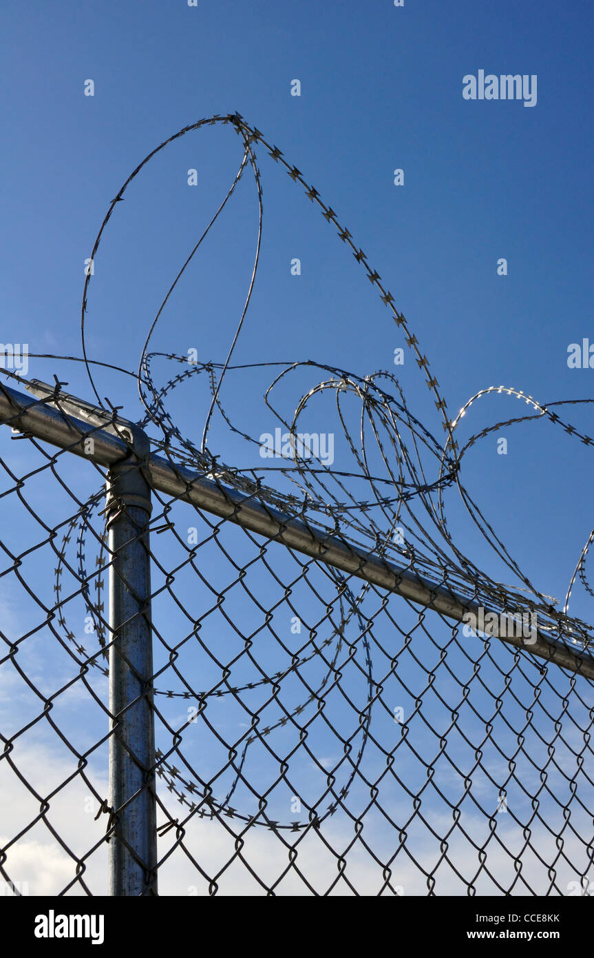 Barbed razor wire Stock Photo - Alamy