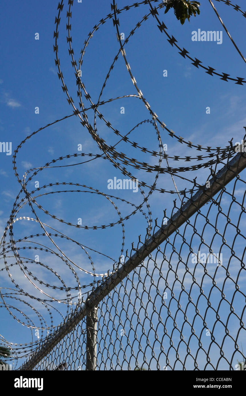 Barbed razor wire Stock Photo - Alamy