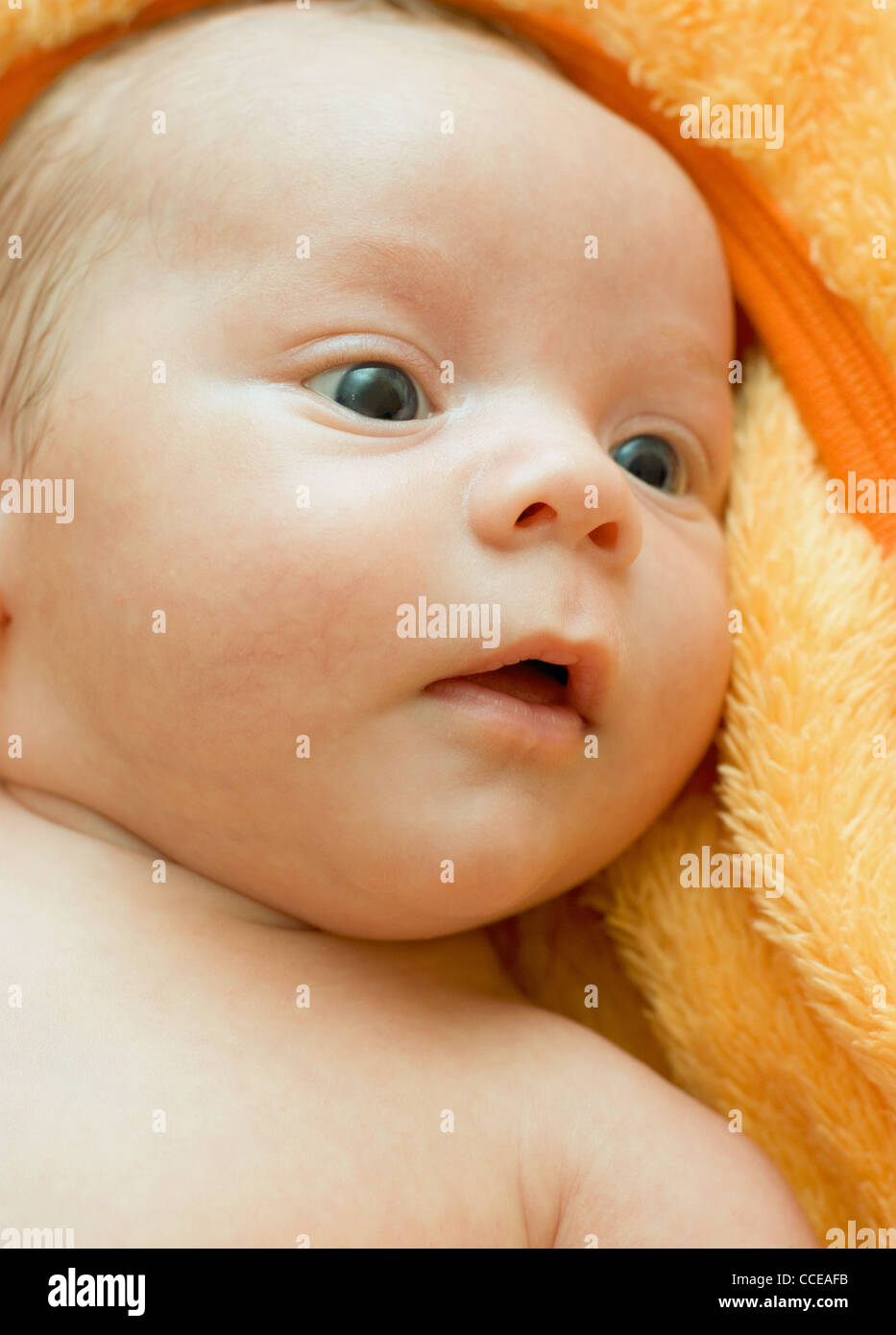 Closeup Portrait of baby boy lying on the orange blanket Stock Photo