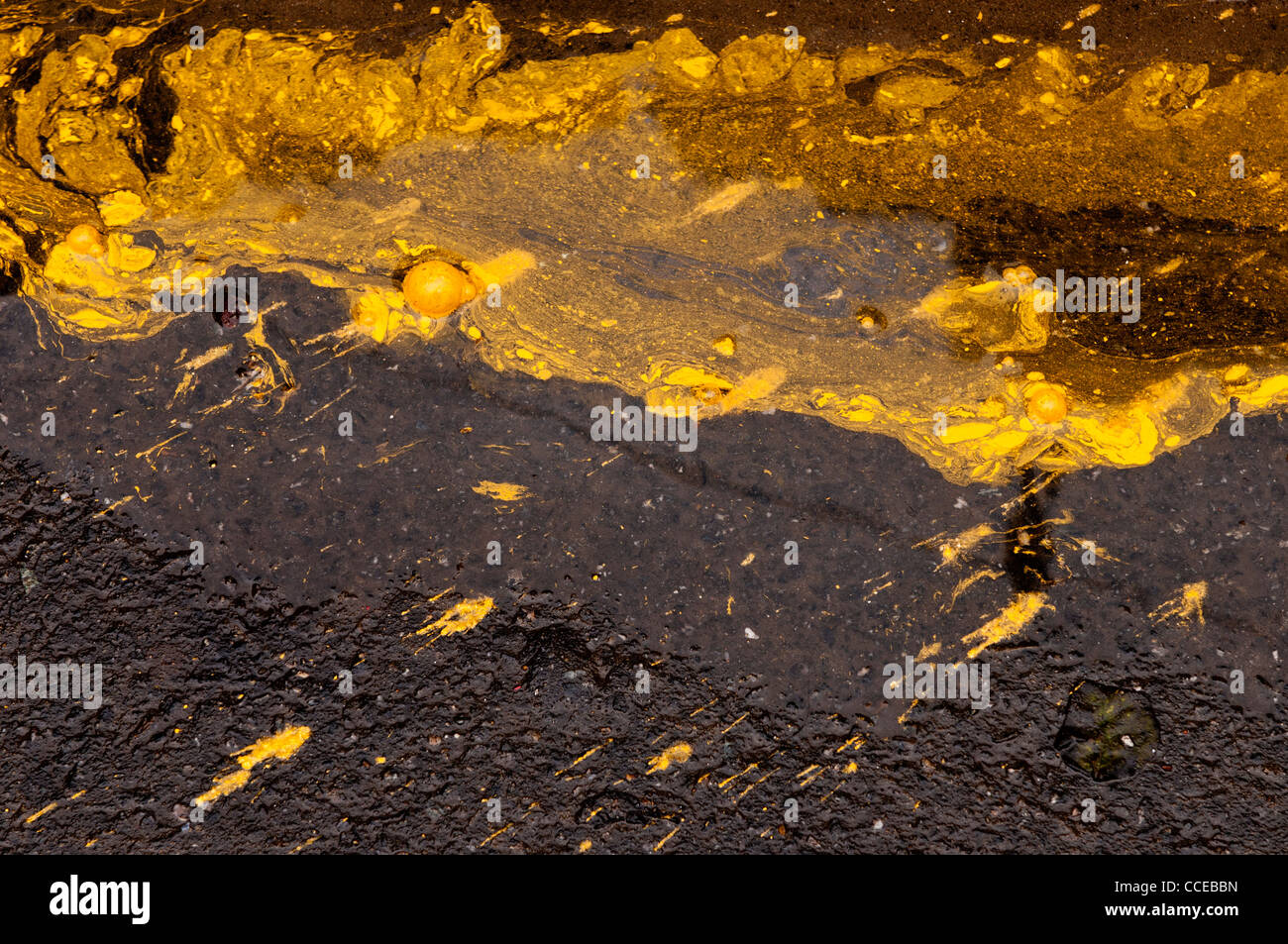 Yellow ochre paint spill on a wet road, Hoi An, Vietnam Stock Photo