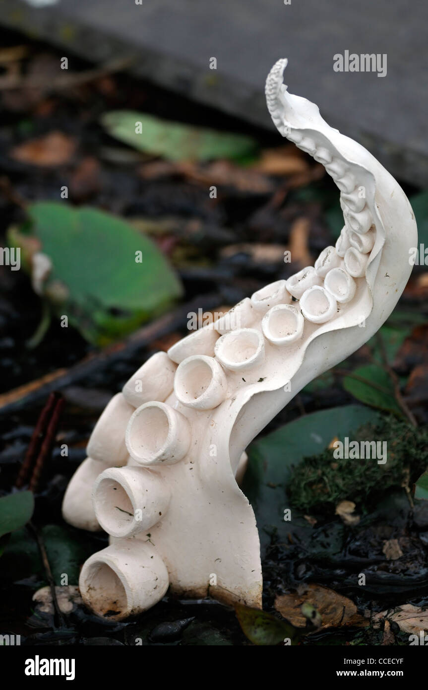single one lone white tentacle suckers octopus sculpture plaster in a garden pond decorative feature Stock Photo