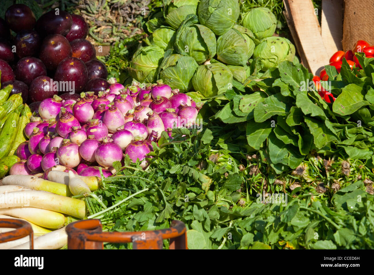 Vegetable market in Islamabad, Punjab Province, Pakistan Stock Photo Alamy