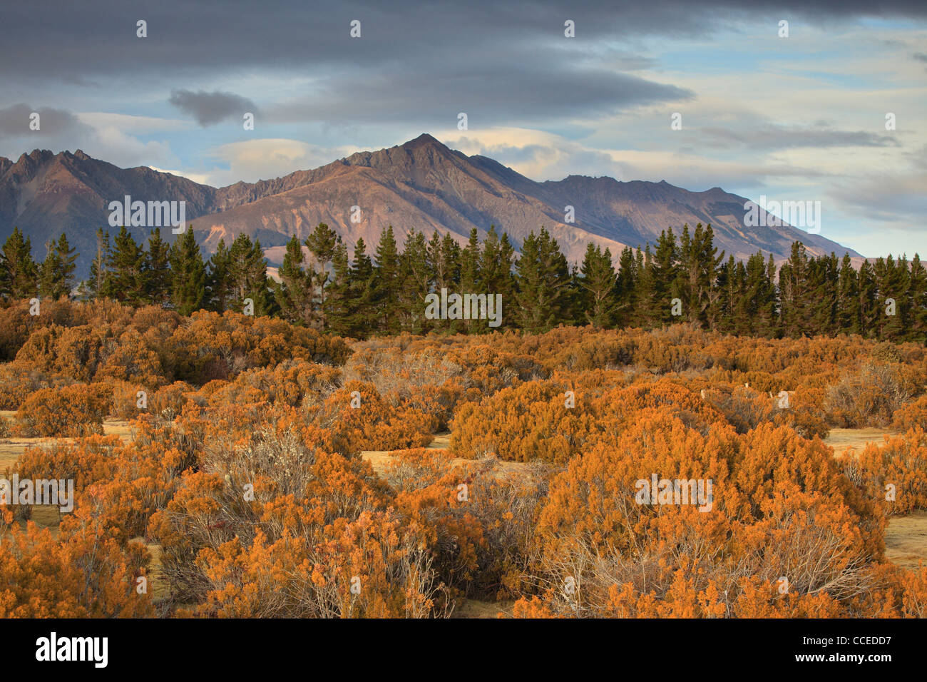 Mountains near Te Anau as seen from the Wilderness Area Scientific Reserve Stock Photo